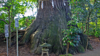 側高神社：香取神宮第一摂社、言葉を超えた霊力と「言わず語らずの守（神）」