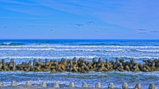 鹿島神宮「一之鳥居」：歴史・神威・自然の息吹を感じる聖地巡礼の旅
