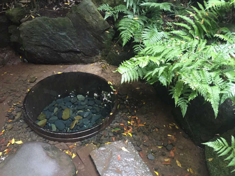 明治神宮・清正の井戸