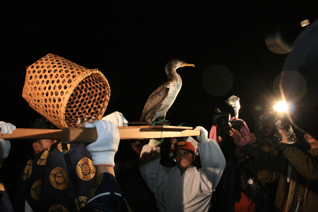 鵜祭・能登に春を呼ぶ神事 鵜の神輿を担ぐ男たち