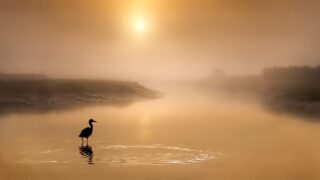 ヨーガスートラ『アパリグラハ』:欲を断ち、心の自由と真我の探求へ