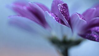 悪いカルマを減らす知恵:クリヤーヨーガ哲学に学ぶ、心の変革と幸福への実践