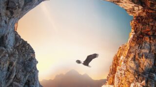 ヨーガと宗教の深淵：異なるアプローチで自己と神を探求する精神の道