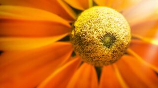 波動が高まると友達が減る理由とは？成長の孤独、そして深い絆を築く新たな出会い