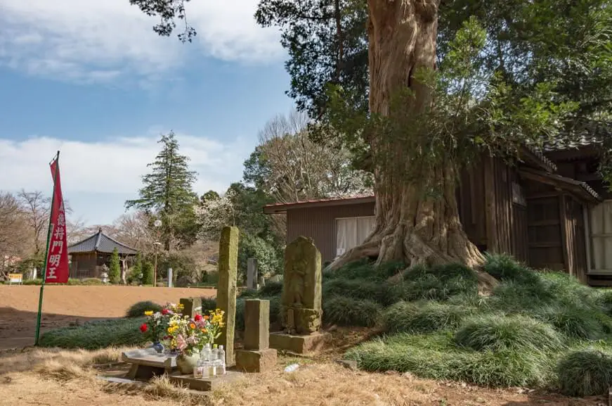 延命院・國王神社の隣にあるお寺で、平将門公の菩提寺です。境内には、将門公の墓と伝えられる五輪塔があります。