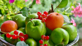 運は「食」で変えられる！科学的視点で解き明かす食事と運命の法則