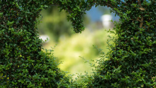 運命の9割は名前で決まる！キラキラネームやポジティブな漢字の落とし穴