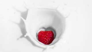 牛乳は骨に良いは嘘だった?乳製品に隠された危険性と骨粗しょう症