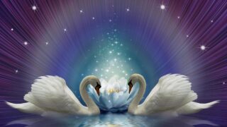 ヨガの叡智を紐解く、魂の輪廻転生とカルマの法則・魂の旅路と究極の目的を知る