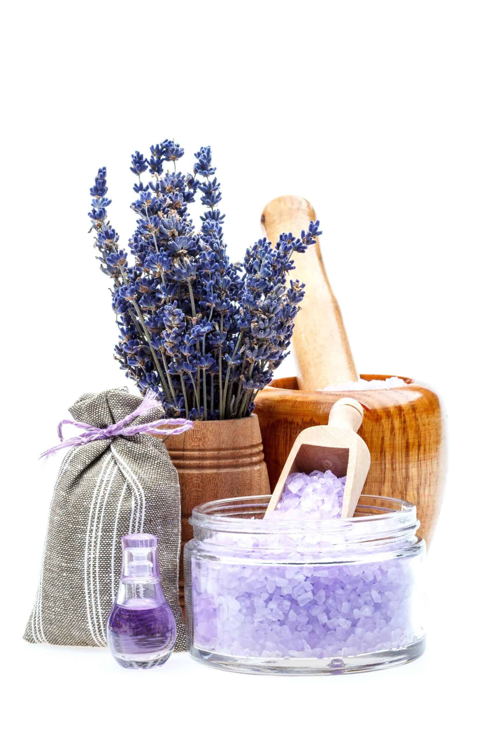 lavender-PXZZLT8-scaled.jpg