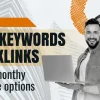 Workreap-SEO-keywords-backlink-service