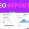 Workreap-SEO-informes