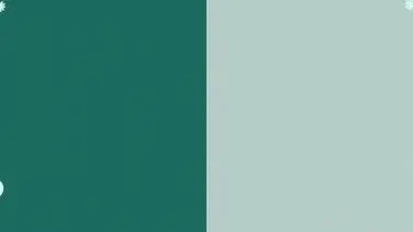 workreap-custom-wordpress-website-development-service-animated