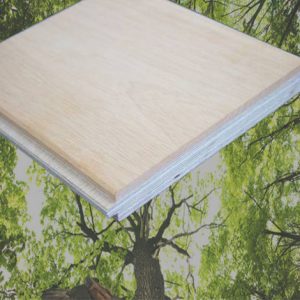 ¿Por qué elegir Arrow Wood?