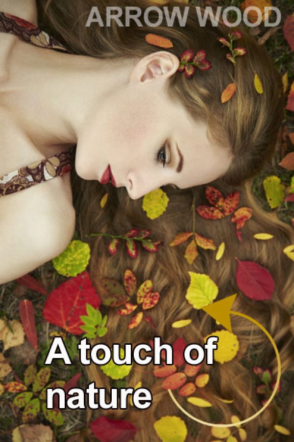 arrowwood-nature-floors