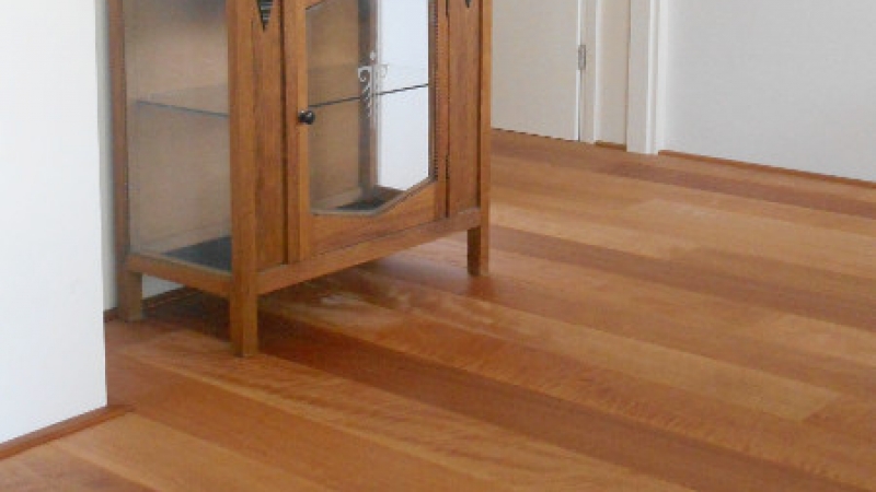 CURUPIXA (BRAZIL CHERRY) 16CM