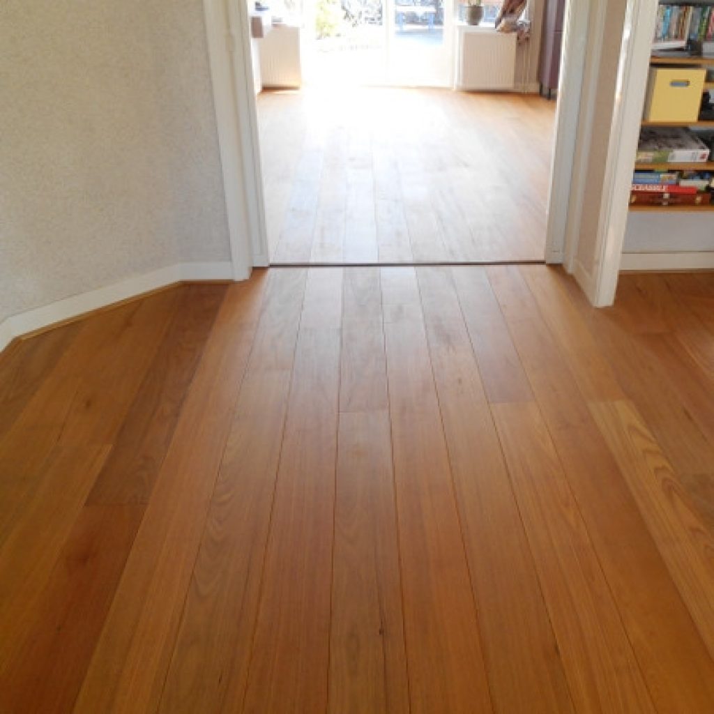 ทางเดินพื้นไม้ทาวารี (Tauari Wood)