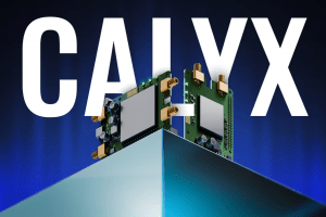 blog2Fcontent-images2F1762943075236_calyx-banner