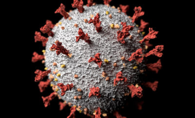 How Host Can Navigate Coronavirus