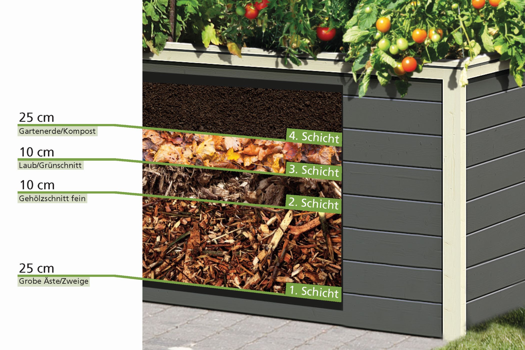 Pitcher, planter, potted plant, pottery, vase