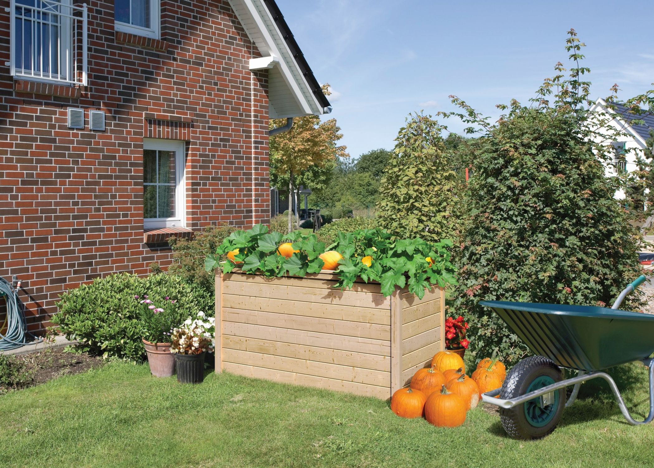 Topfpflanze, Pflanzgefäß, Töpferei, Hinterhof, Garten