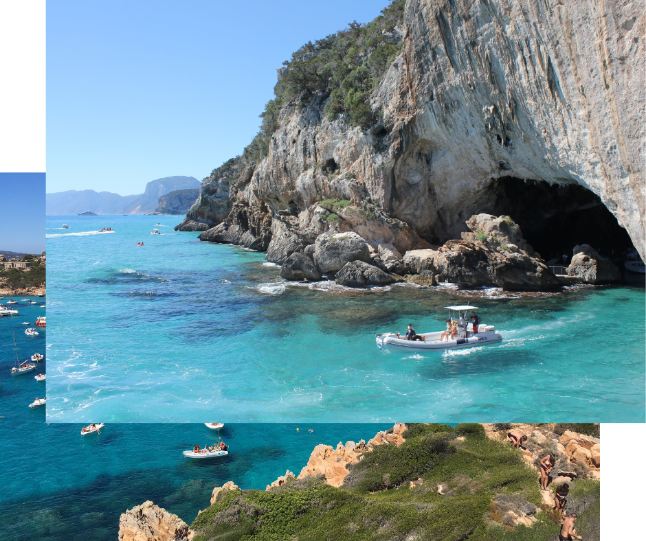 Projekt bez tytułu (2)