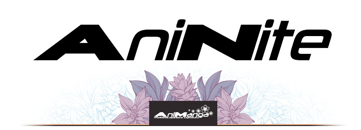 AniNite 2025 Austria Center Wien