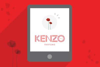 WordPress Maintenance 45