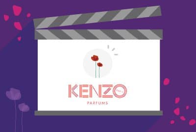 WordPress Maintenance 37