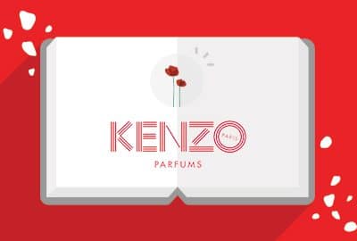 WordPress Maintenance 44