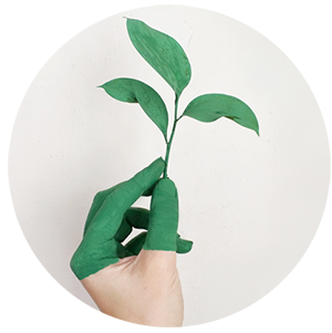 A person holding a green plant in his hand while participating in a company charter.