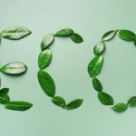 Green leaves make up the word eco on a green background in an eco-design web design.