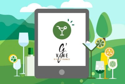 WordPress Maintenance 11