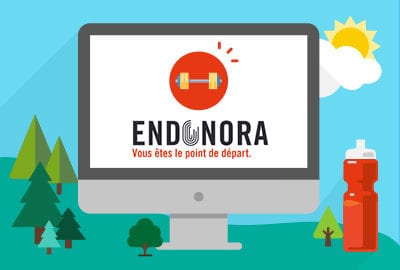 WordPress Maintenance 10