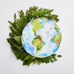 A watercolour clay on the theme of carbon footprint surrounded by ferns and leaves.