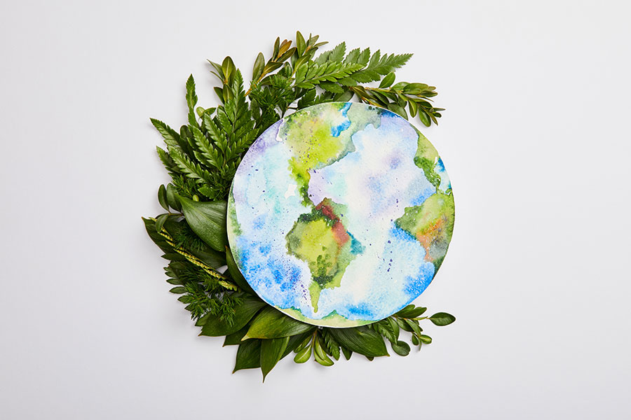 A watercolour clay on the theme of carbon footprint surrounded by ferns and leaves.