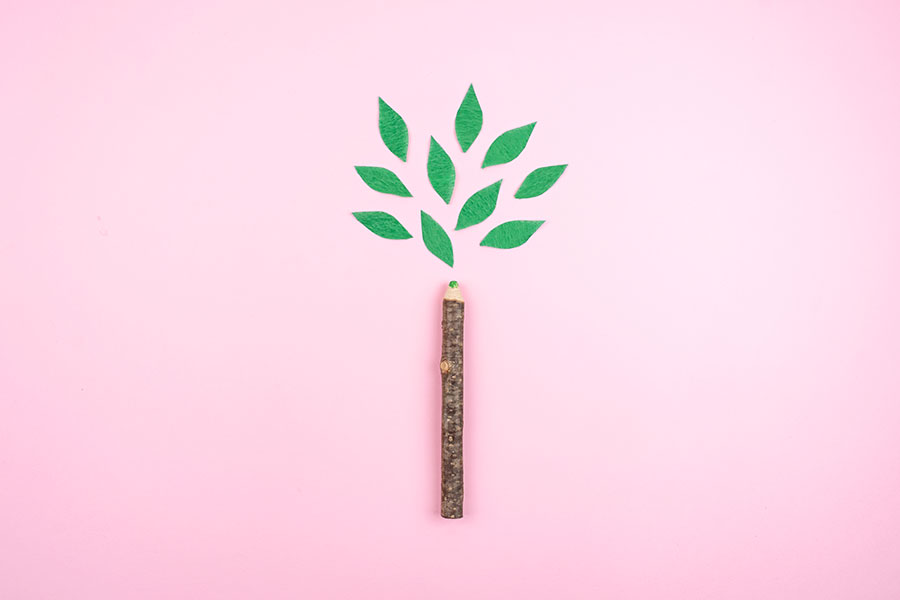 A pencil with a green leaf showing its low carbon footprint on a bright pink background.