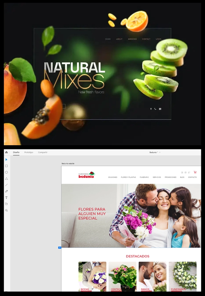 Paginas web, Zeus Studio